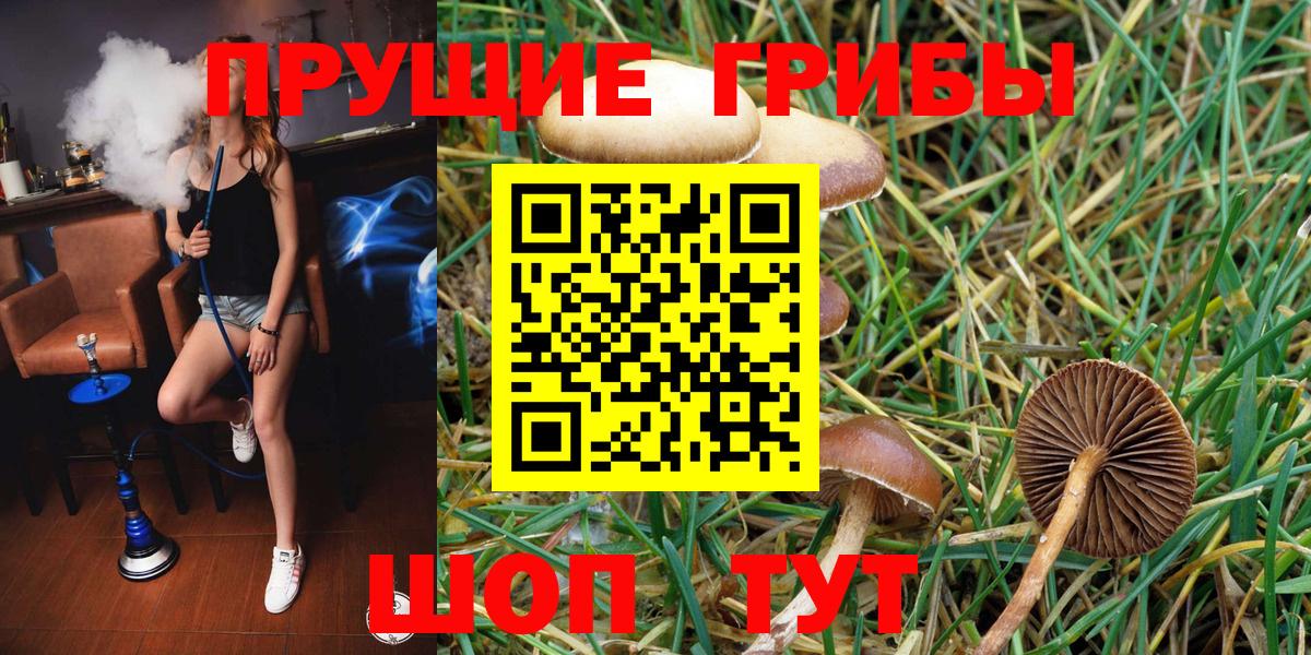 Псилоцибиновые грибы ЛСД  Вход с VPN  цена   Шадринск 